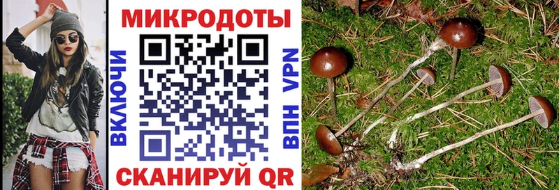 наркошоп  Сибай  Галлюциногенные грибы GOLDEN TEACHER 